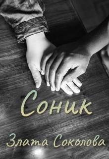 Книга. "Соник" читать онлайн