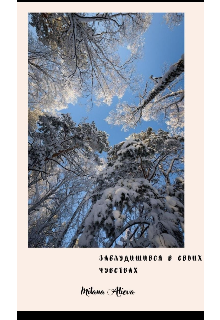 Книга. "Заблудишився в своих чувствах." читать онлайн