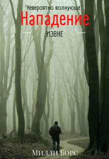 Книга. "Нападение извне" читать онлайн
