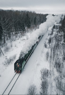 Книга. "Разговорчивый сосед" читать онлайн