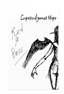 Книга. "Странствующая Мари" читать онлайн