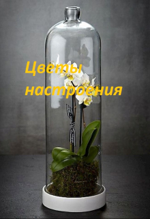Книга. "Цветы настроения" читать онлайн
