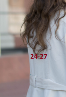 Книга. "24-27" читать онлайн