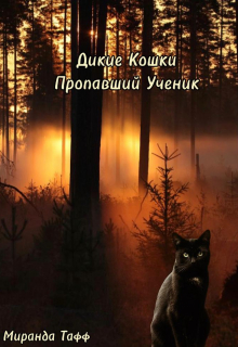 Книга. "Дикие Кошки: Пропавший Ученик " читать онлайн