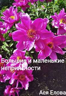 Книга. "Большие и маленькие неприятности" читать онлайн