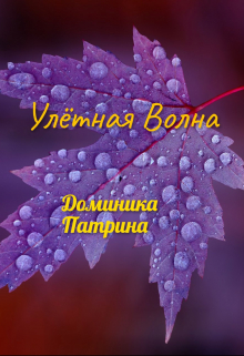 Книга. "Улётная волна " читать онлайн