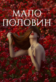 Книга. "Мало половин" читать онлайн
