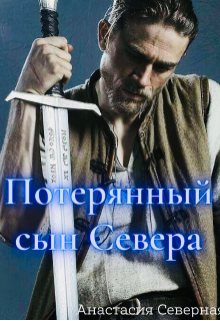Книга. "Потерянный сын Севера" читать онлайн