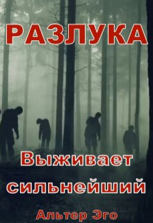 Книга. "Разлука" читать онлайн