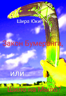 Книга. "Закон Бумеранга, или Шило на Мыло?" читать онлайн