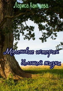 Книга. "Маленькие истории большой жизни" читать онлайн