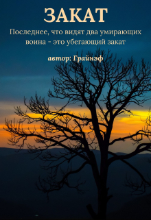 Книга. "Закат" читать онлайн