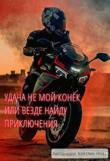 Книга. "Удача не мой конёк или везде найду приключения" читать онлайн