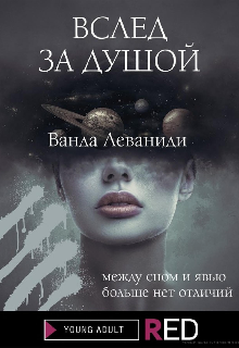 Книга. "Вслед за душой" читать онлайн