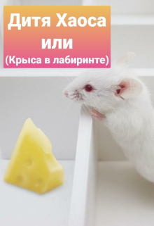 Книга. "Дитя Хаоса или (крыса в лабиринте.)" читать онлайн