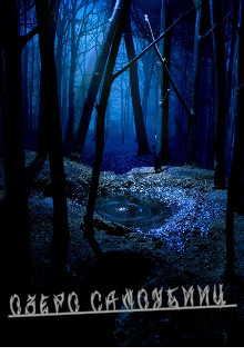 Книга. "Озеро самоубийц " читать онлайн