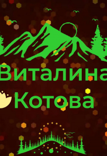 Книга. "Примак" читать онлайн