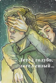 Книга. "Летел голубь, летел сизый..." читать онлайн