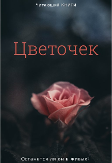 Книга. "Цветочек" читать онлайн
