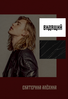 Книга. "Видящий" читать онлайн