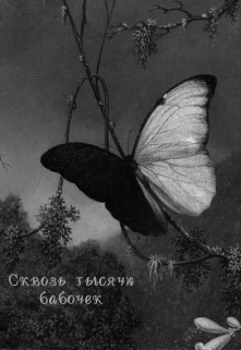 Книга. "Сквозь тысячи бабочек " читать онлайн