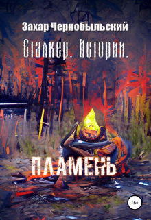 Книга. "Сталкер. Истории. Пламень" читать онлайн