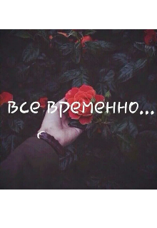 Книга. "Всё временно" читать онлайн