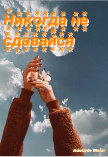 Книга. "Никогда не сдавайся " читать онлайн