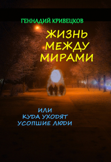 Книга. "Жизнь между мирами или Куда уходят усопшие люди" читать онлайн