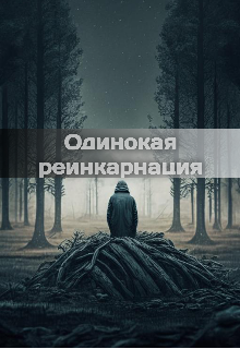 Книга. "Одинокая реинкарнация" читать онлайн