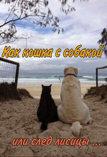 Книга. "Как кошка с собакой или след лисицы..." читать онлайн