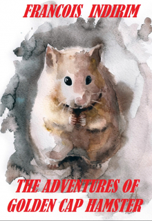 Книга. "The Adventures of Golden Cap Hamster" читать онлайн