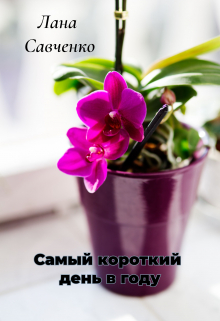Книга. "Самый короткий день в году" читать онлайн