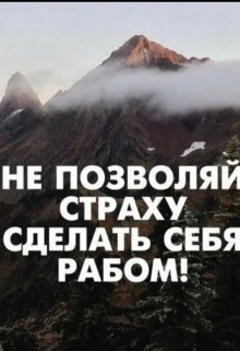 Книга. "Совесть и страх" читать онлайн