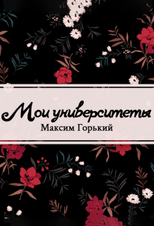 Книга. "Мои университеты" читать онлайн