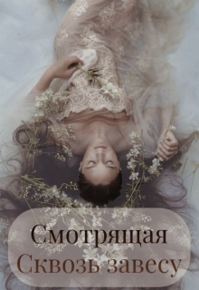 Книга. "Смотрящая сквозь завесу" читать онлайн