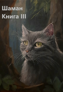 Книга. "Шаман. Книга третья" читать онлайн