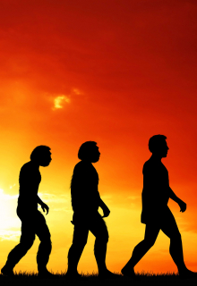 Книга. "Сашенька" читать онлайн