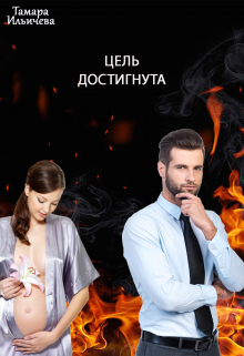 Книга. "Цель достигнута" читать онлайн