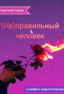 Книга. "(не)правильный человек " читать онлайн