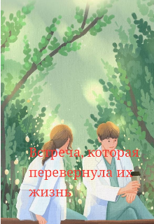 Книга. "Встреча перевернувшая нашу жизнь" читать онлайн