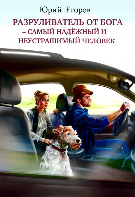 Книга. "Разруливатель от Бога&ndash;самый надёжный и неустрашимый человек" читать онлайн