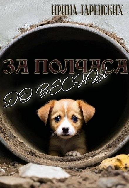 Книга. "За полчаса до весны" читать онлайн