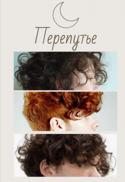 Книга. "Перепутье" читать онлайн