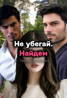 Книга. "Не убегай. Найдем " читать онлайн