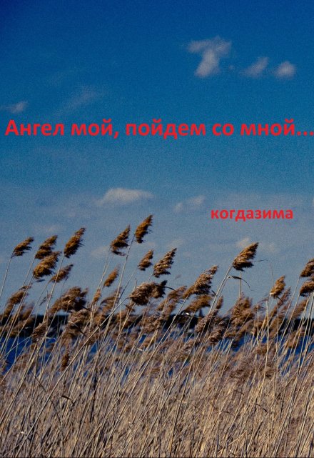 Книга. "Ангел мой, пойдем со мной..." читать онлайн