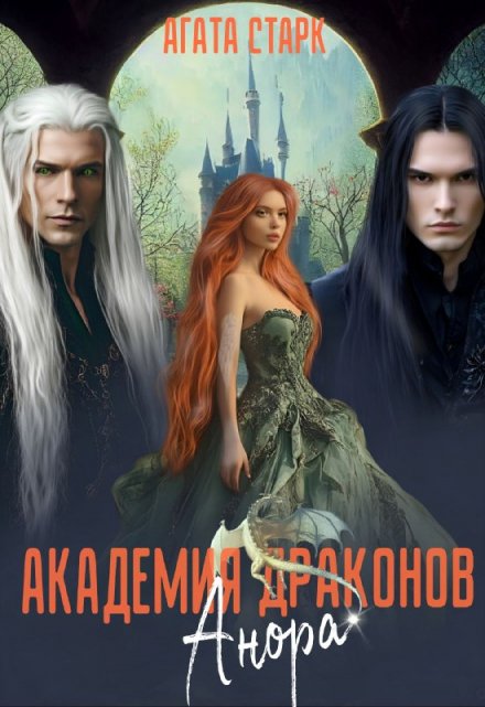 Книга. "Анора. Академия Драконов" читать онлайн