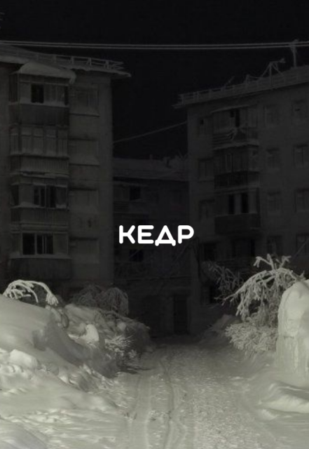 Книга. "Кедр" читать онлайн