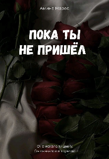 Книга. "Пока ты не пришёл " читать онлайн