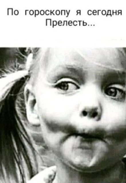 Книга. "ресурс салатом и кредо" читать онлайн